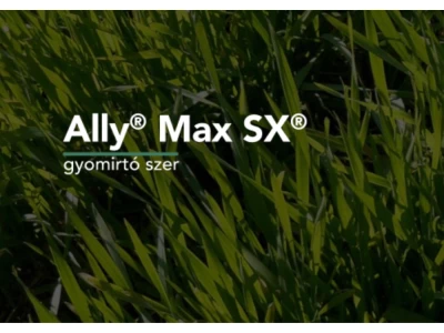 Ally Max Sx 0,1kg+ 1l Trend gyomirtó szer I.