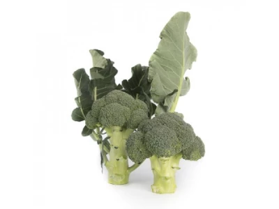 Larsson 2.500 szem brokkoli vetõmag
