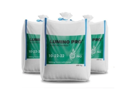 Lumino PRO® SILVER NPK(S) 10-22-22 (12)+1,5B 25 kg