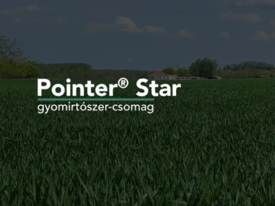 Pointer Star (4ha) gyomirtó csomag I.