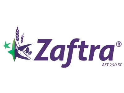 Zaftra AZT 250 SC 5L gombaölõ szer II.
